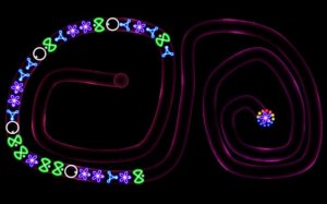 TD Neon Shoot - Zuma: Marble Defense Puzzle Game Online