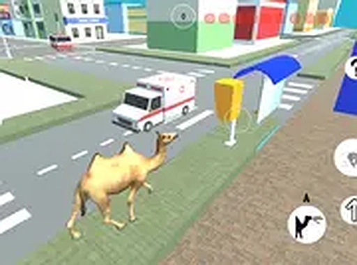 Camel Sandbox Adventure