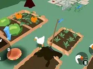 Crazy Goose Simulator Online Arcade Game